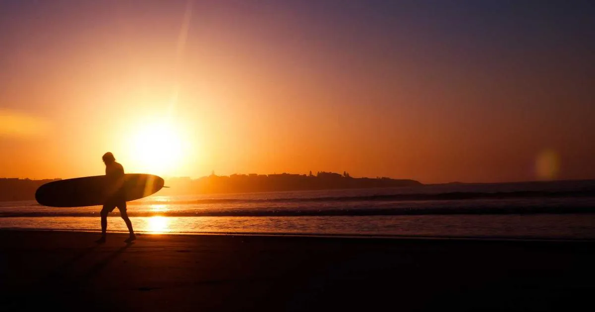 AICAR: AMPK Activator Research in Metabolic Studies - peptide research illustration