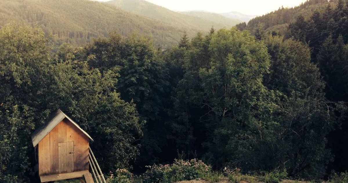 Documentation Requirements for Research Administration - peptide research illustration