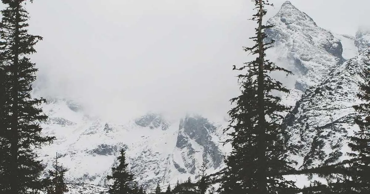 Dosage Calculation Methodologies - peptide research illustration