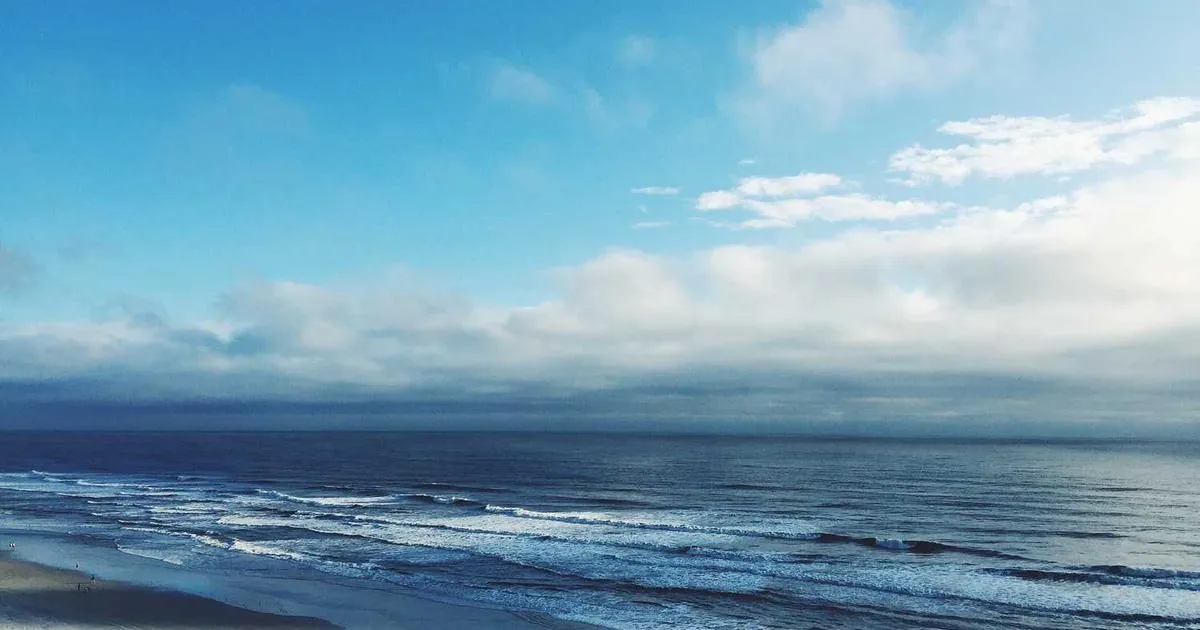 Follistatin: Myostatin Inhibition Research Applications - peptide research illustration