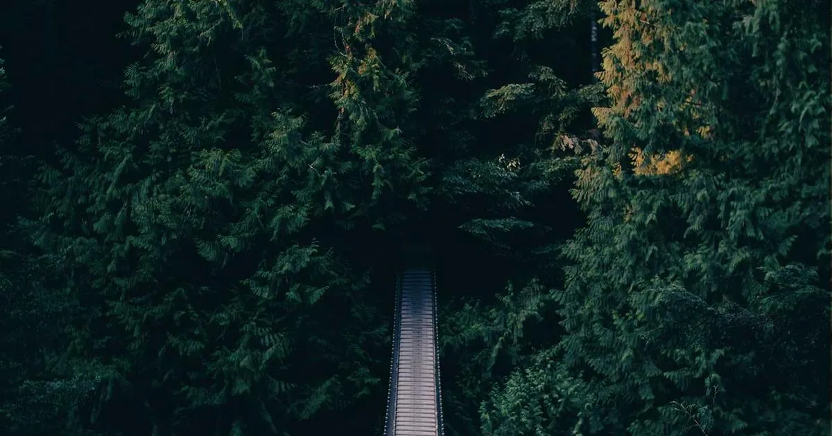 GLP-1 Receptor Pathways in Weight Management - peptide research illustration