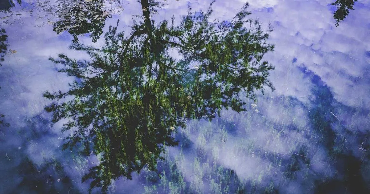 Immune Checkpoint Peptides: Cancer Research Applications - peptide research illustration