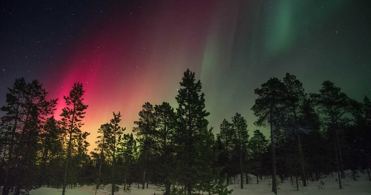 Intramuscular vs Subcutaneous: Route Selection - peptide research illustration