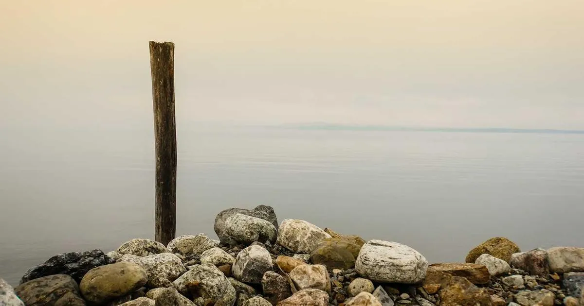 MK-677 (Ibutamoren): Non-Peptide GH Secretagogue Clinical Data - peptide research illustration