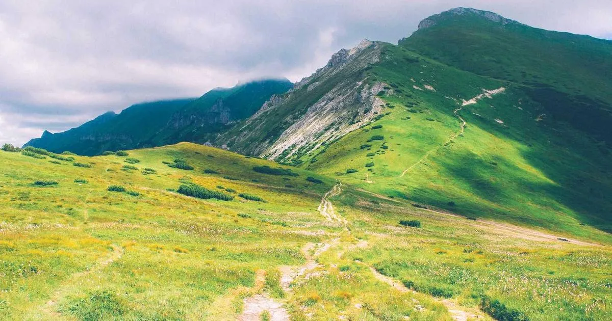 Multi-Center Trial Coordination in Peptide Studies - peptide research illustration