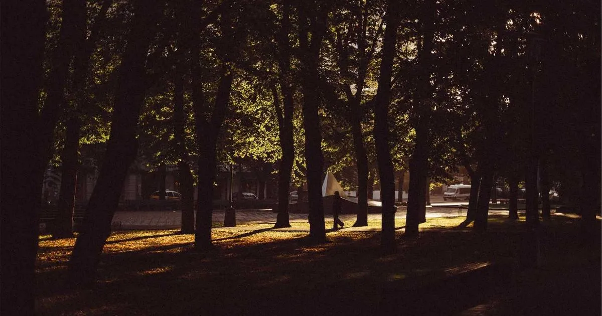 Neuroprotective Peptide Mechanisms - peptide research illustration