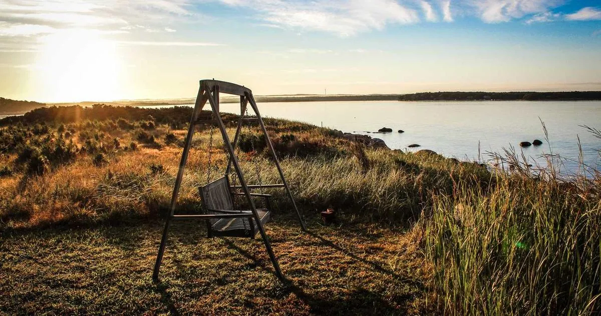 Peptide Bioavailability in Healing healing research with cellular regeneration visualization