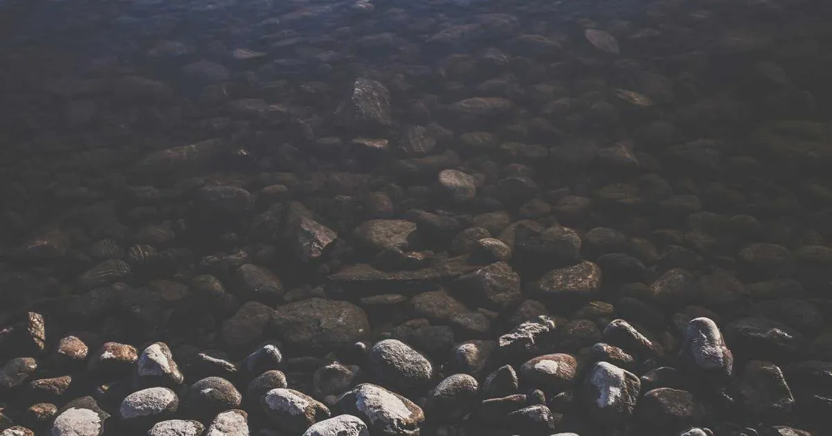 Peptide Quality Assurance: Your Complete Verification Guide - peptide research illustration