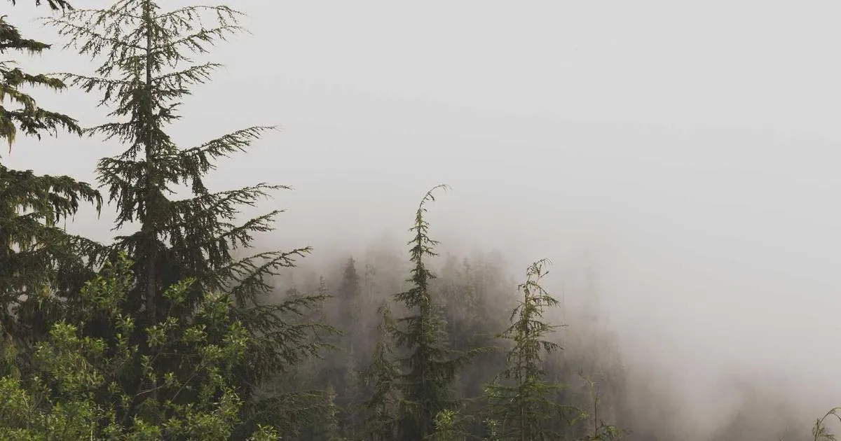 Peptide Vaccines: Research in Immunotherapy Applications - peptide research illustration