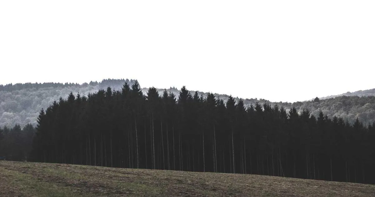 Protocol Standardization Research - peptide research illustration