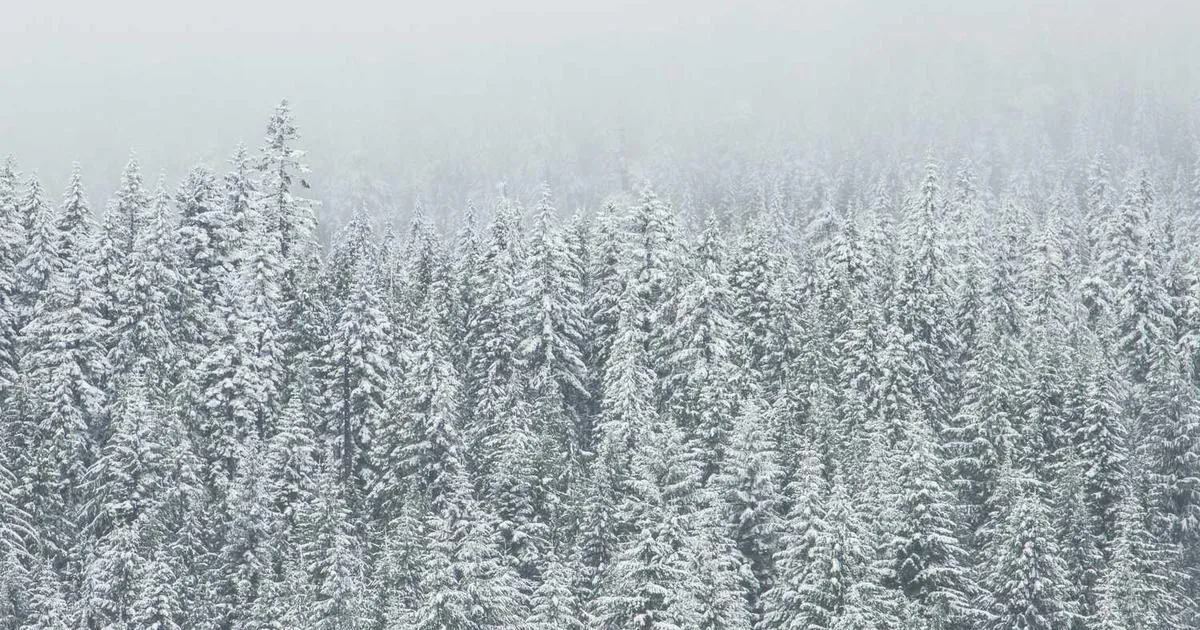 Quality Control Testing Methods - peptide research illustration