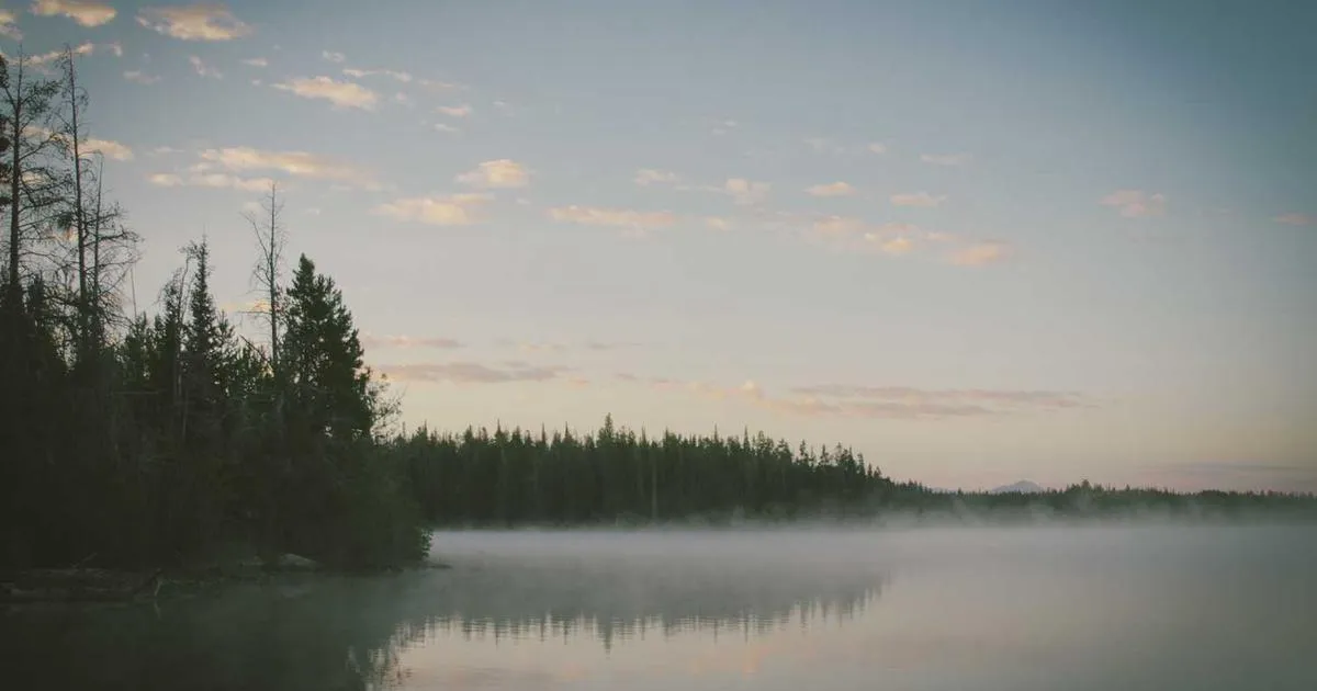 Regulatory Compliance Guidelines - peptide research illustration