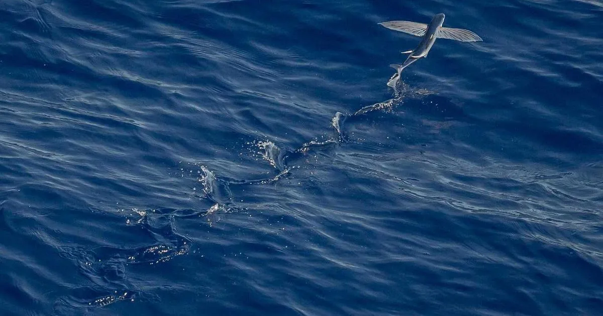 Research Documentation Standards and Data Integrity - peptide research illustration