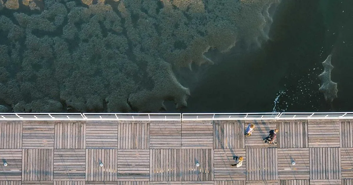 Side Effect Profiles and GLP-1 Safety - peptide research illustration