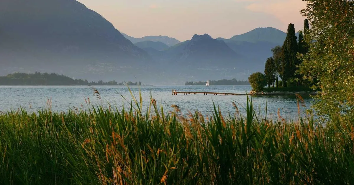 Site Rotation Protocols for Repeated Injections - peptide research illustration