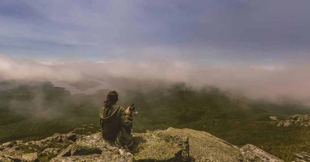 Subcutaneous Injection Techniques for Research - peptide research illustration